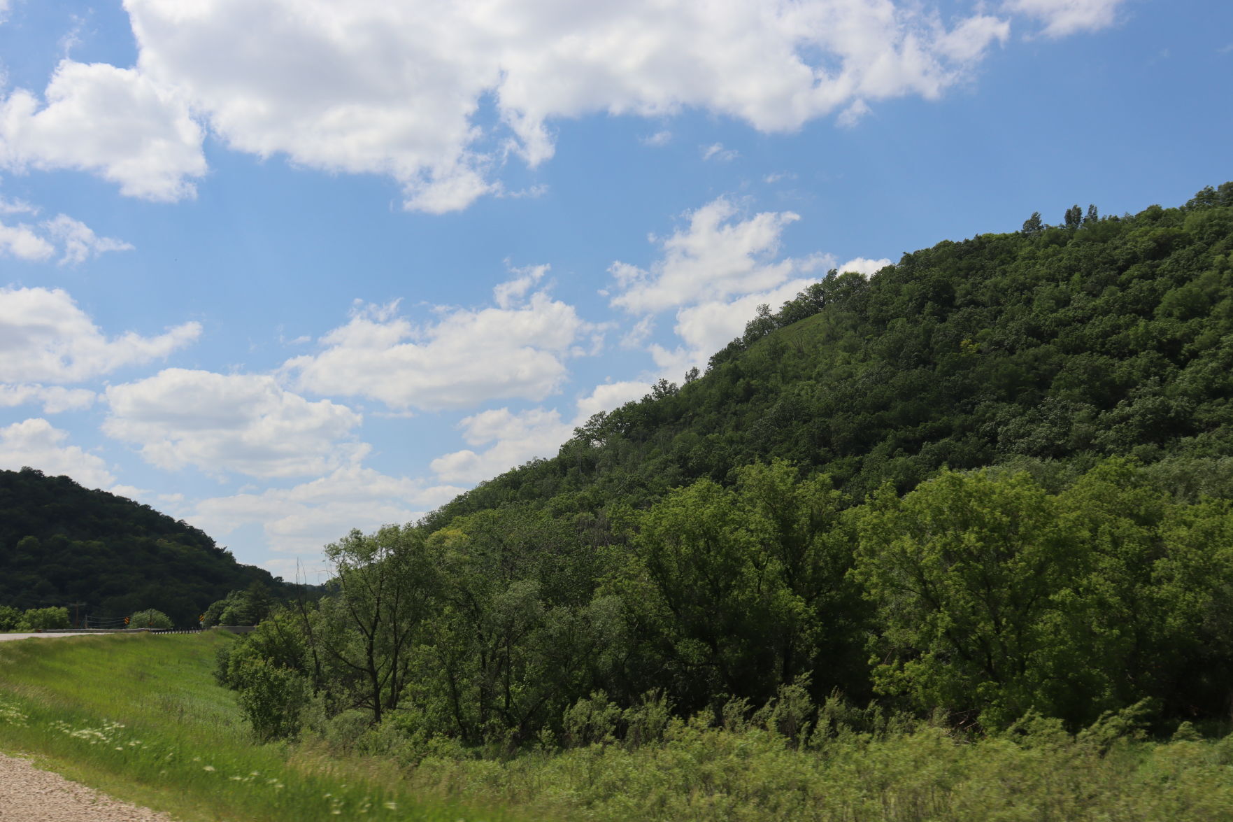 Greenery